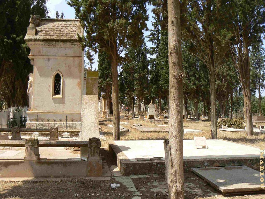 HAMMAM BOU HADJAR 2009 LE CIMETIERE   (43).jpg